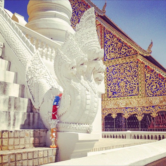Chiang Mai, Thailand—Wat Suan Dok on a brilliant, blue sky day. #travel